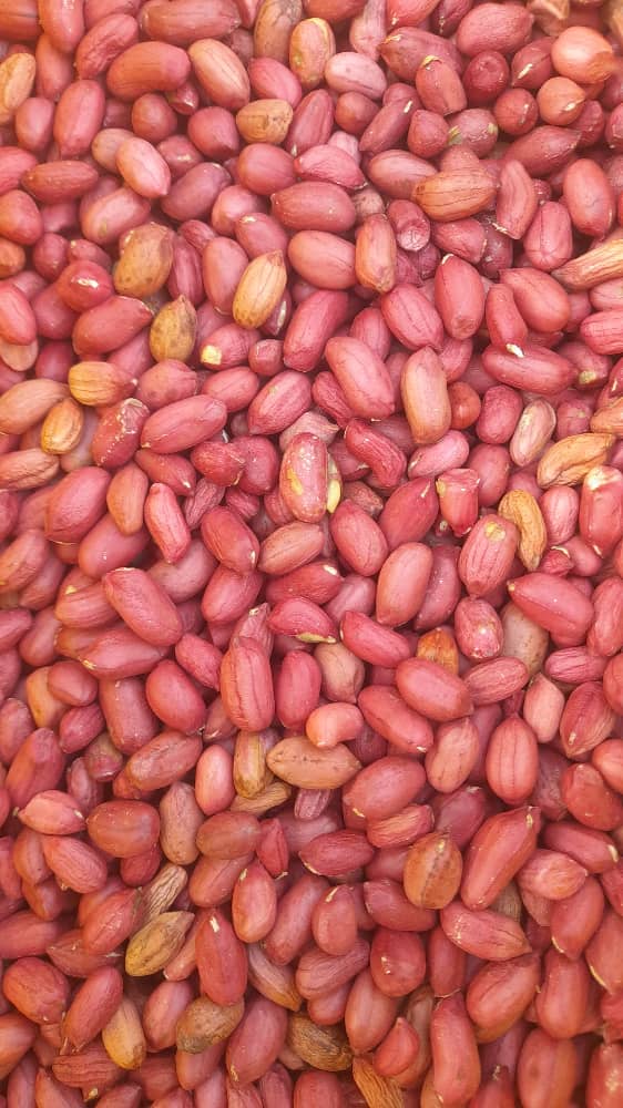 Groundnuts