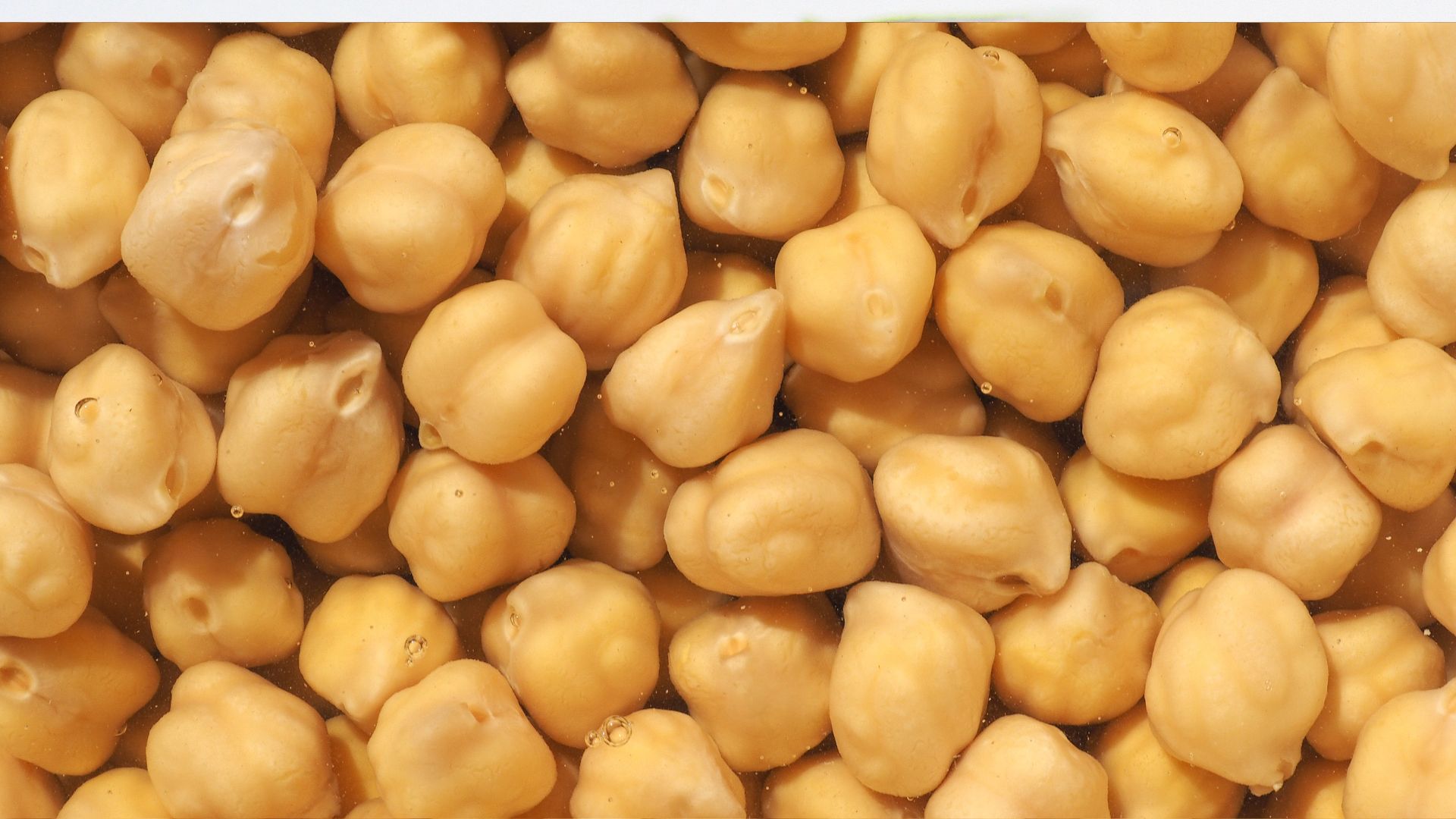 Chickpeas