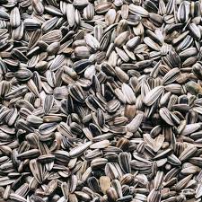 Sunflower seeds