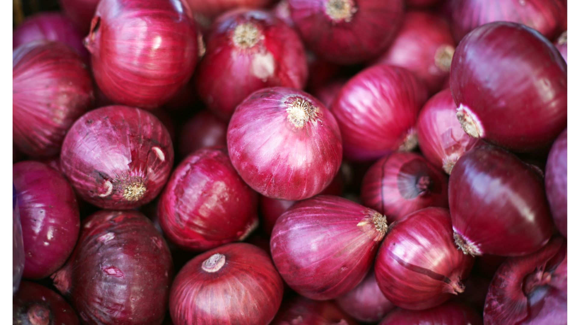 Red Onion
