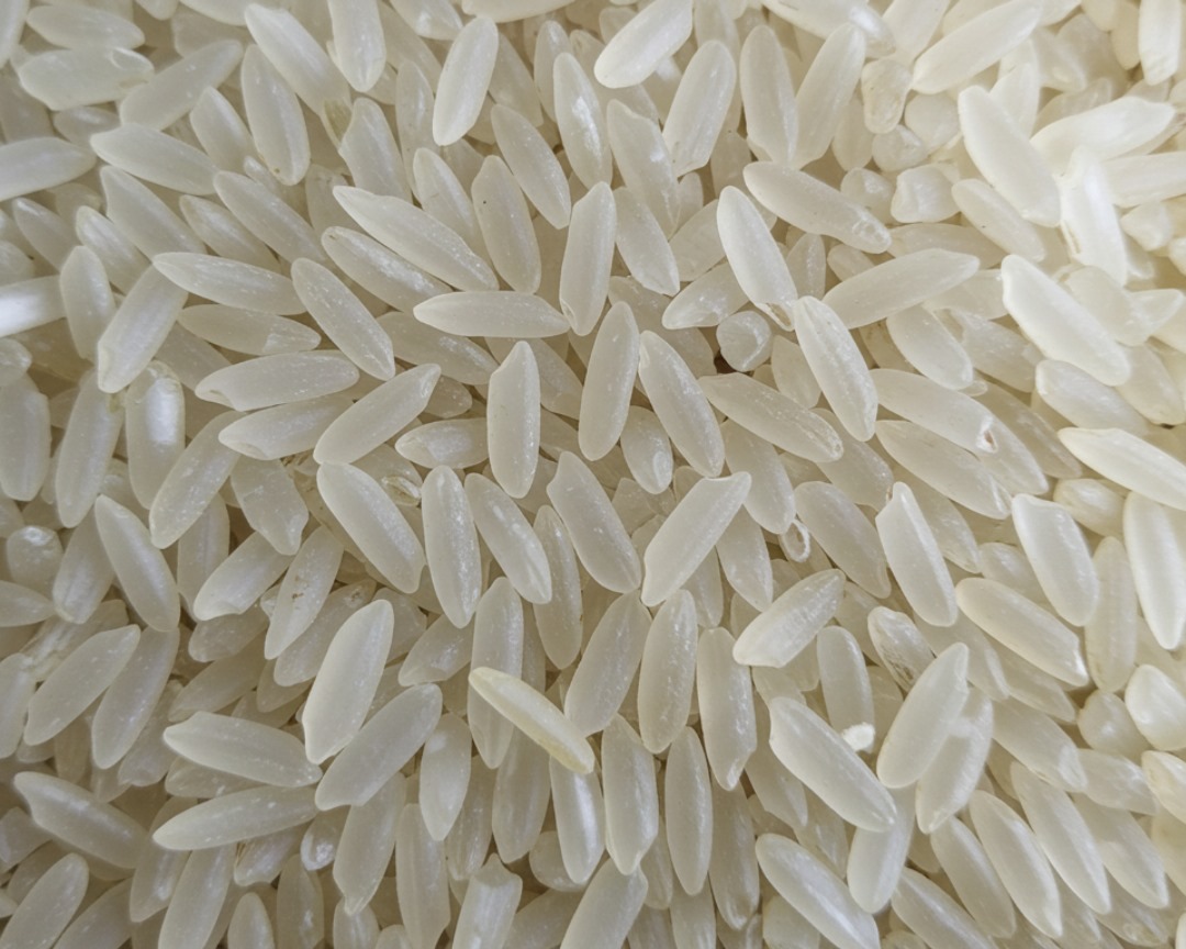 Rice