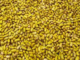 Yellow beans